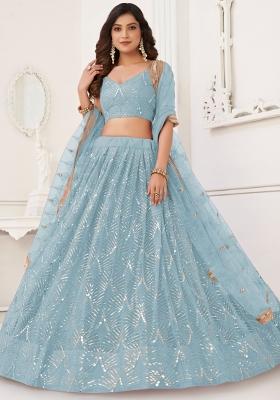Sky Blue Embroidered Net Lehenga Set