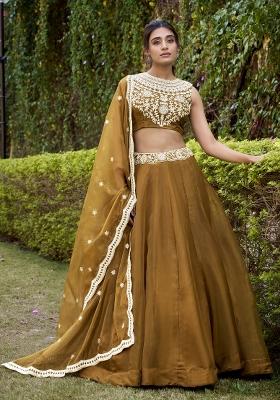 Bronze Solid Silk Lehenga Set