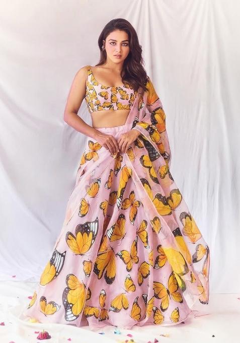 Multicolor Embroidery Organza Lehenga Set