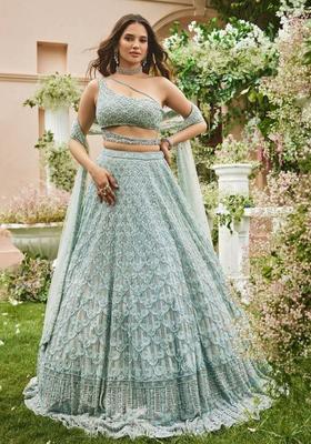 Multicolor Embroidery Net Lehenga Set