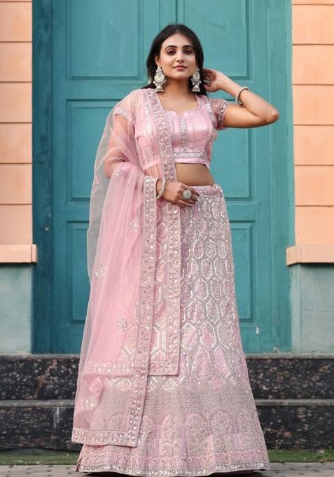 Multicolor Embroidery Net Lehenga Set