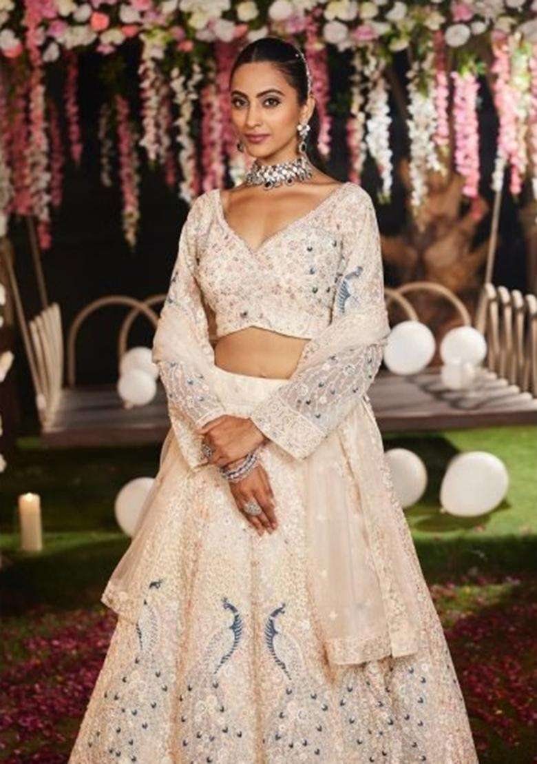 Multicolor Embroidery Net Lehenga Set - Indya