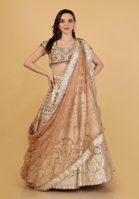 Mocha Brown Embroidery Organza Lehenga Set