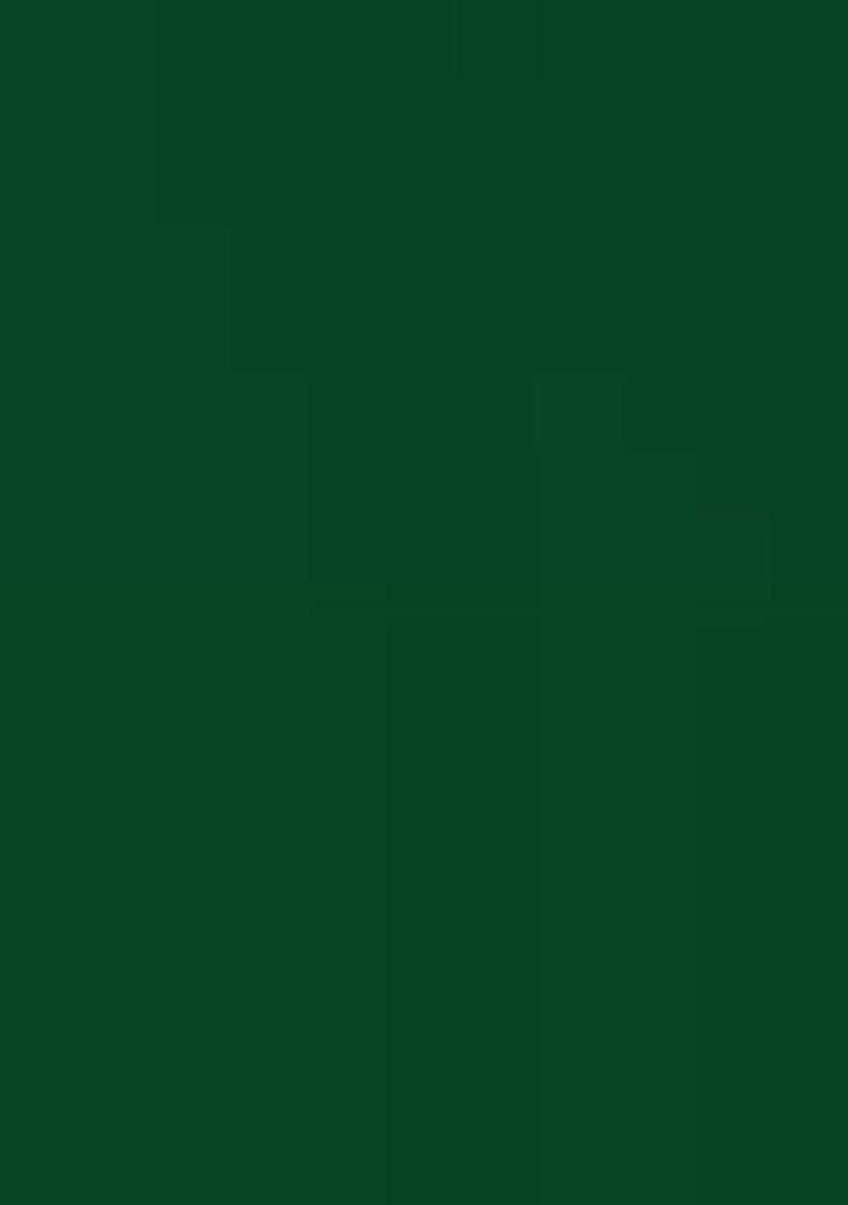 Green Sequins Georgette Lehenga Set - Indya