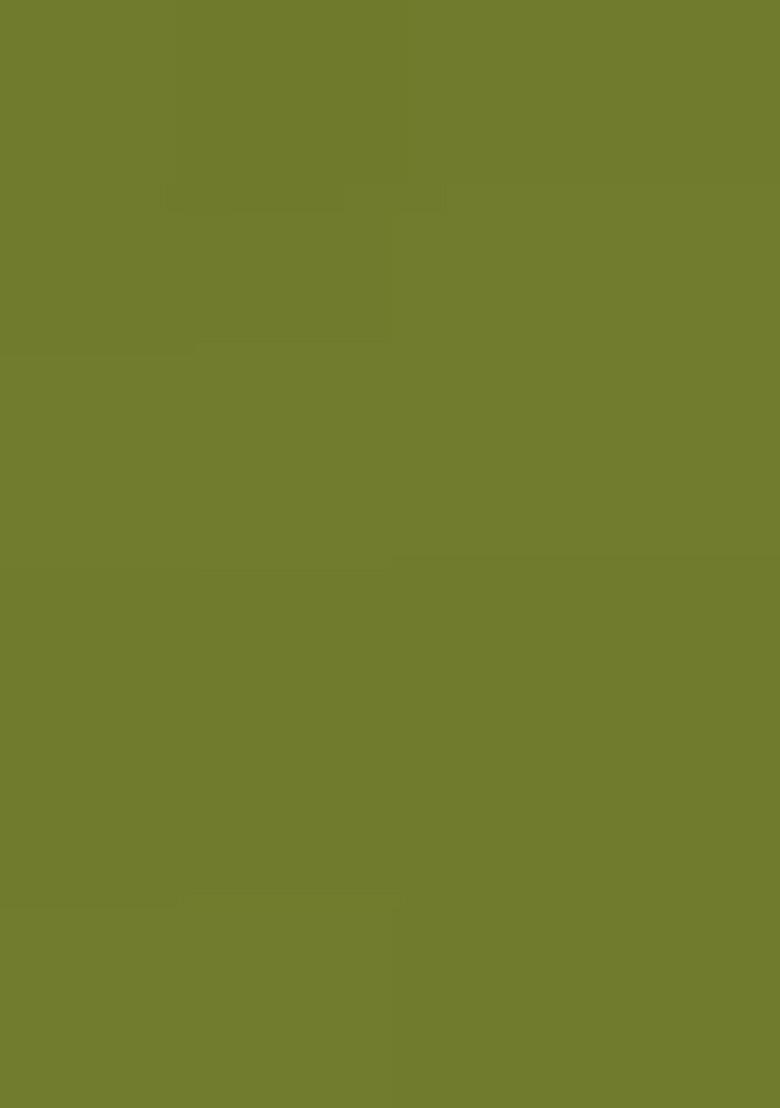 Green Embroidery Silk Lehenga Set - Indya