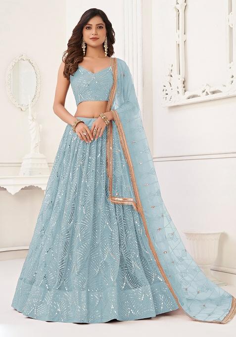Sky Blue Embroidered Net Lehenga Set
