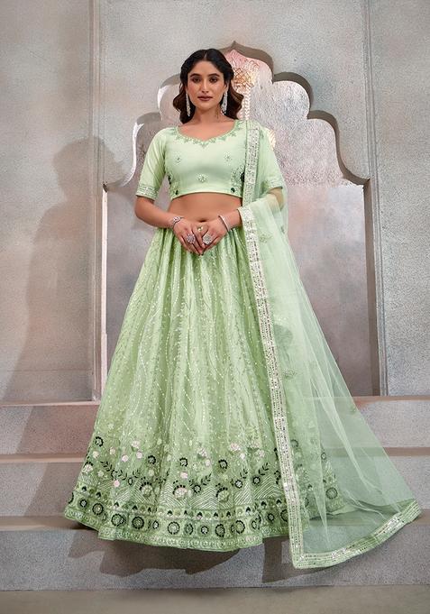 Pista Embroidery Net Lehenga Set