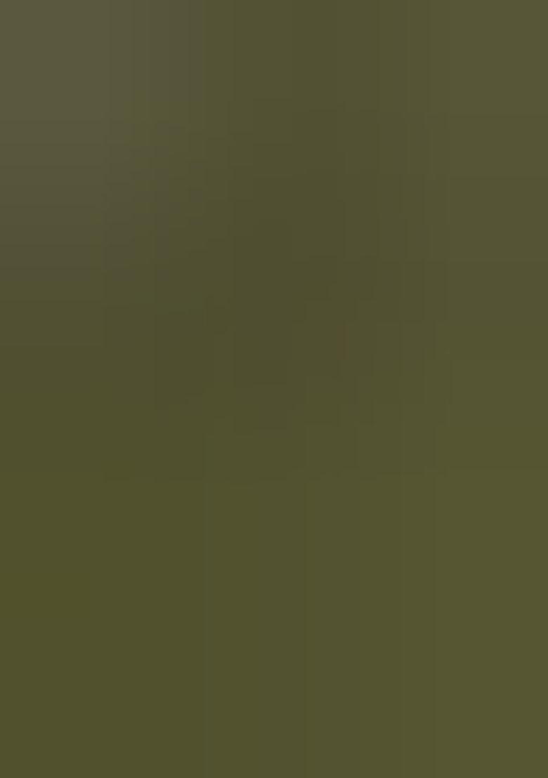 Mehendi Green Embroidered Georgette Lehenga Set - Indya