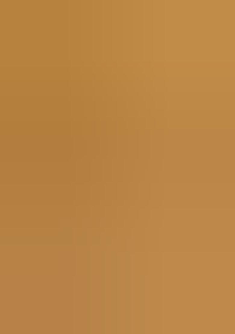 Multicolor Embroidered Georgette Lehenga Set - Indya