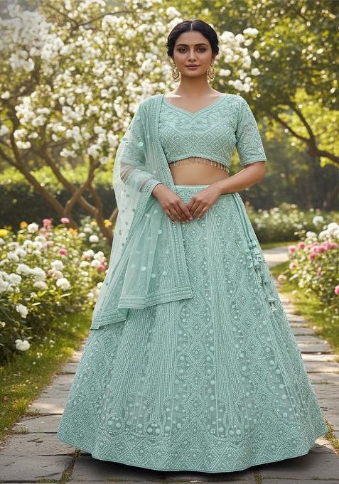 Aqua Green Embroidered Net Lehenga Set