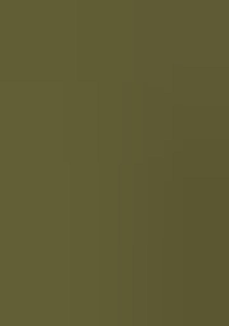 Mehendi Green Embroidery Georgette Lehenga Set - Indya