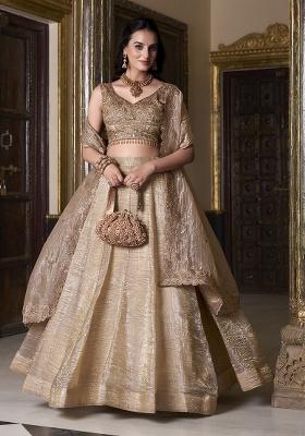 Beige Embroidery Gold Crush Lehenga Set