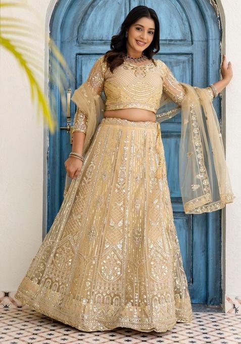 Beige Embroidery Net Lehenga Set
