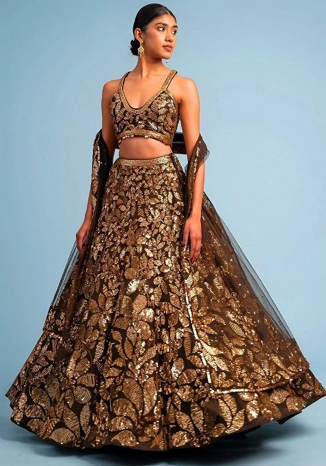 Brown Embroidery Net Lehenga Set