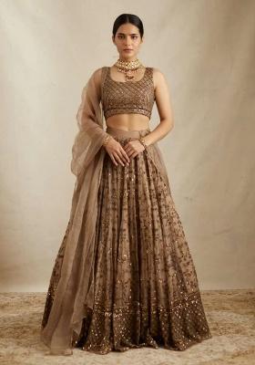 Brown Embroidery Net Lehenga Set