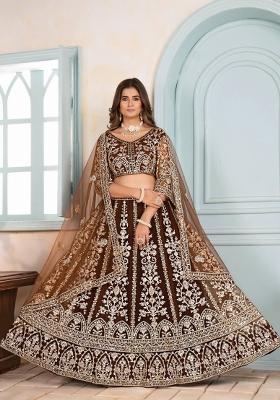 Brown Embroidery Net Lehenga Set