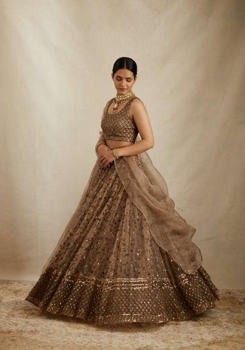 Mocha Brown Emboidered Net Lehenga Set