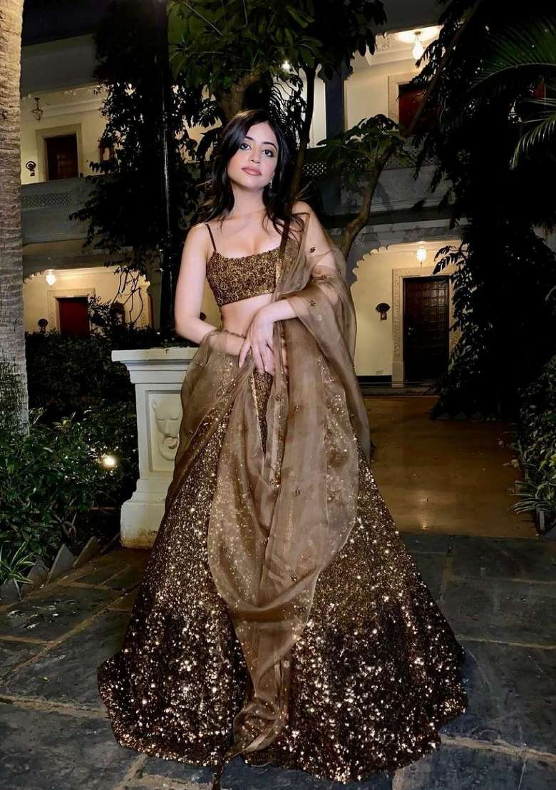 Brown Sequin Work Silk Blend Lehenga Set for Diwali and Festive Wear - Indya