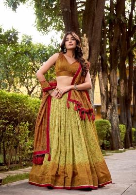 Beige Printed Silk Blend Lehenga Set