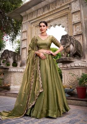 Mehendi Sequin Work Fendi Lehenga Set