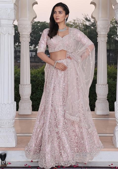 Beige Embroidered Net Lehenga Set