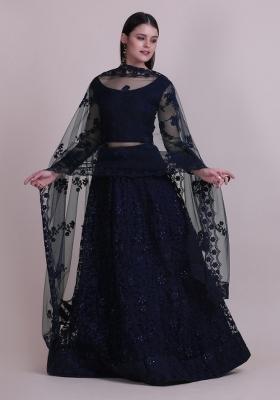 Blue Embroidered Net Lehenga Set