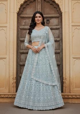 Sky Blue Embroidered Net Lehenga Set