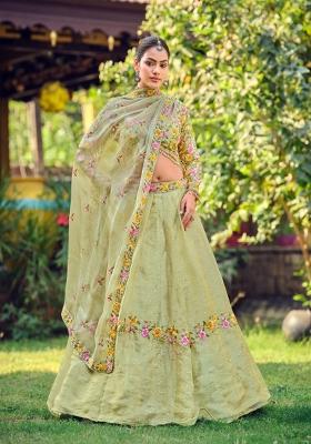 Pista Embroidered Silk Blend Lehenga Set