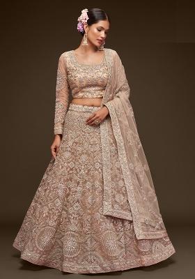 Royal Beige Embroidered Net Lehenga Set