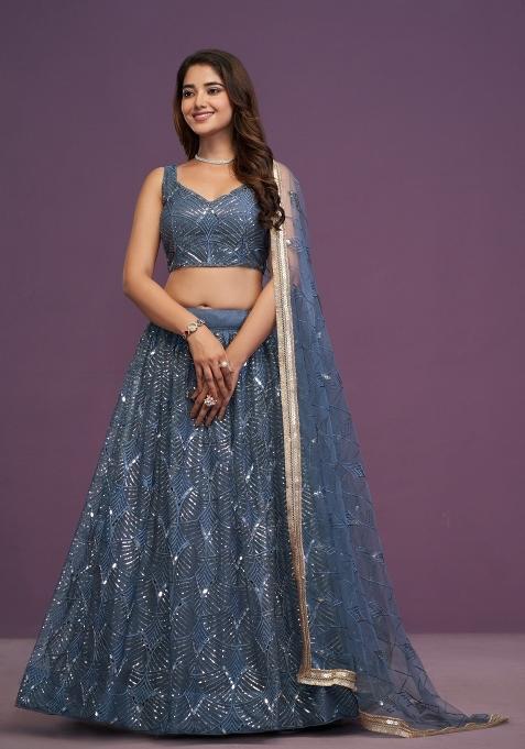 Blue Embroidered Net Lehenga Set