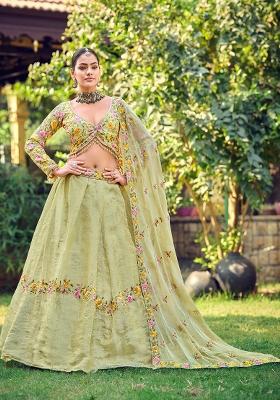 Pista Embroidered Silk Blend Lehenga Set