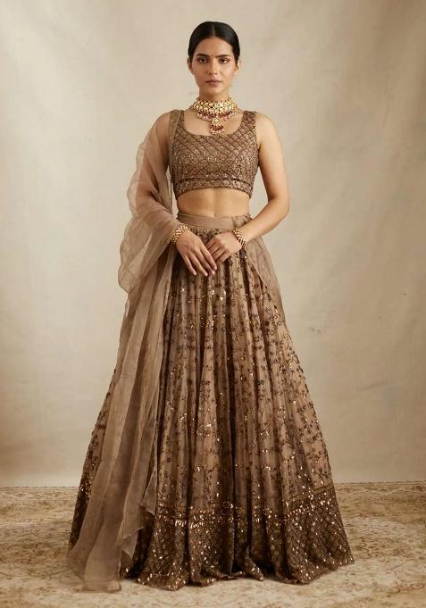 Brown Embroidered Crepe Lehenga Set