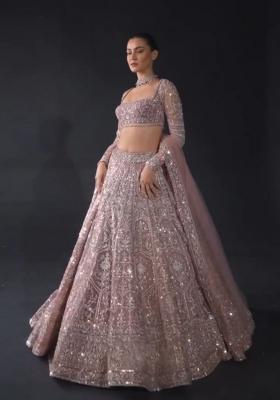 Multicolor Embroidered Net Lehenga Set