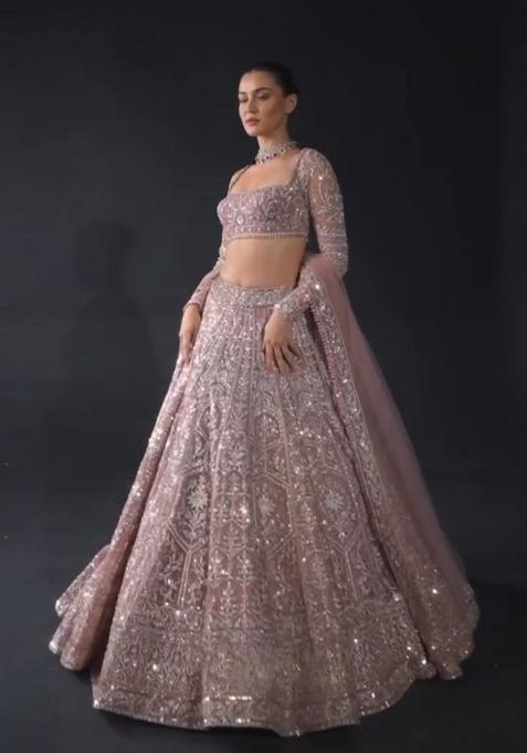 Multicolor Embroidered Net Lehenga Set