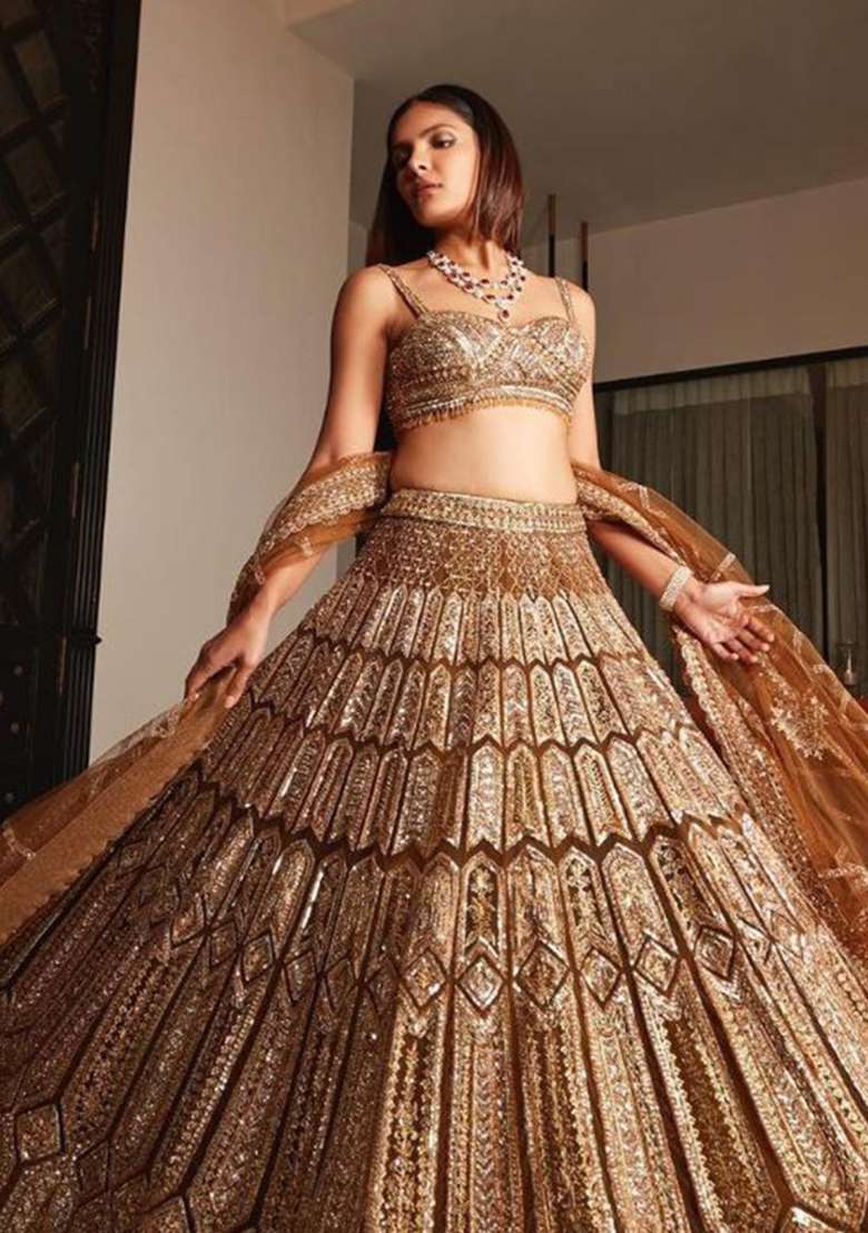 Brown Embroidered Silk Lehenga Set - Indya