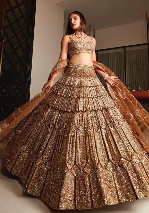 Brown Embroidered Silk Lehenga Set