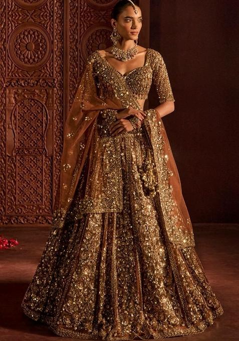 Brown Sequin Work Net Lehenga Set
