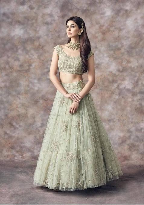 Pista Embroidered Net Lehenga Set