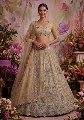 Beige Embroidered Net Lehenga Set