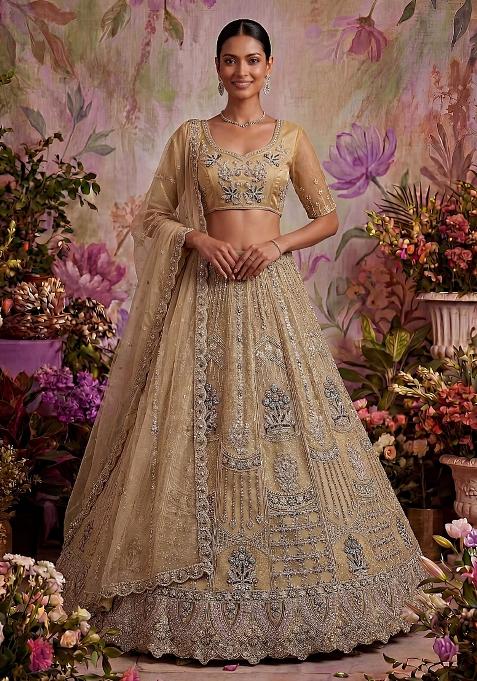 Beige Embroidered Net Lehenga Set
