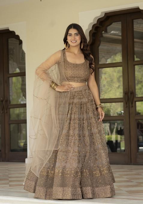 Light Coffee Embroidered Net Lehenga Set