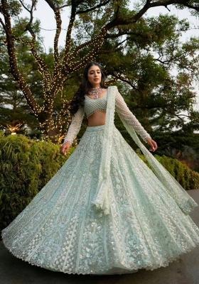 Pista Embroidered Net Lehenga Set