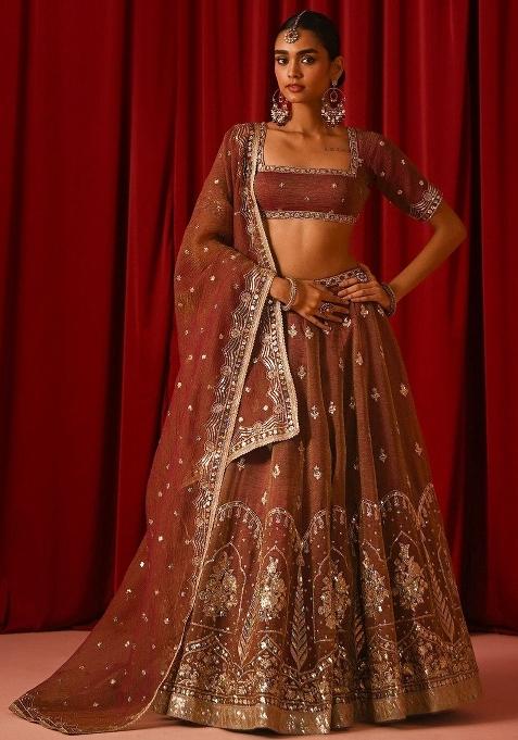 Brown Embroidered Silk Lehenga Set