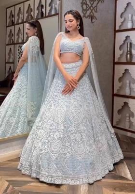 Sky Blue Embroidered Net Lehenga Set