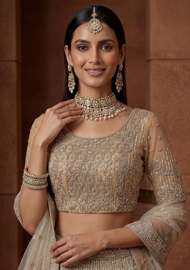 Chiku Embroidered Net Lehenga Set - Indya