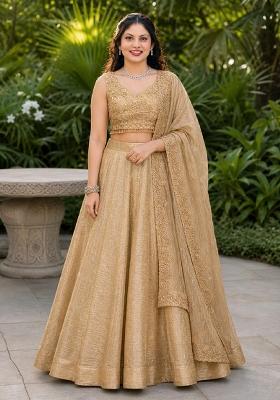 Beige Embroidery Organza Lehenga Set