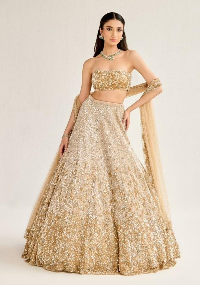 Golden Sequin Work Net Lehenga Choli - Indya