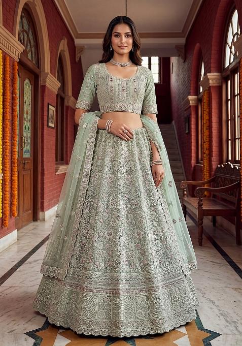 Pista Embroidery Net Lehenga Set