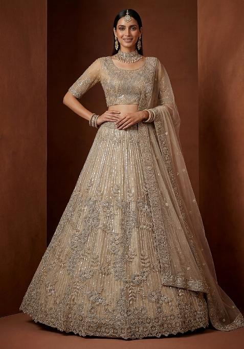 Chiku Embroidery Net Lehenga Set