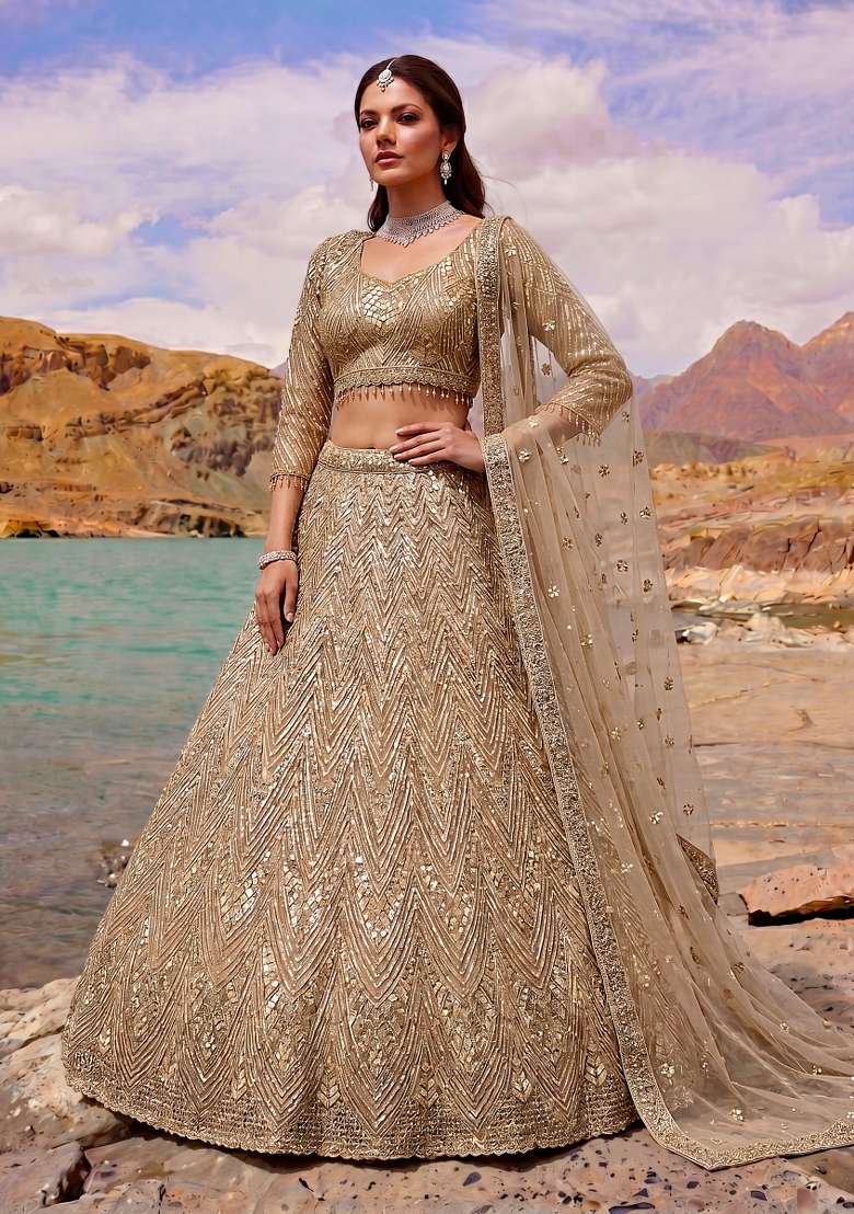 Chiku Embroidery Net Lehenga Set - Indya